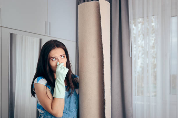 Mold Odor Removal Services in Sebring, FL